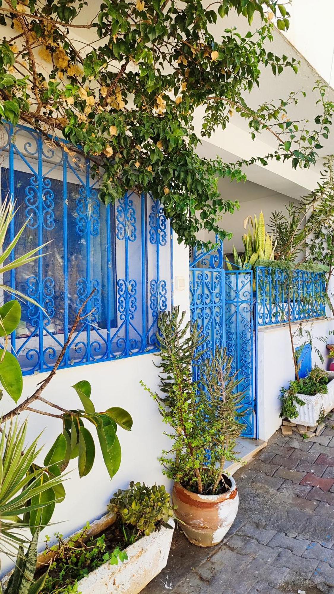 Cosy Appartement In "Sidi Bou Said" Exterior foto